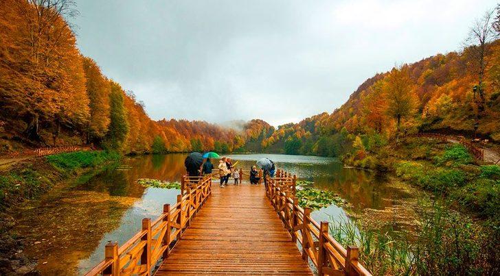 Türkiye'nin en uzun ömürlü insanları Gölköy'de yaşıyor G3