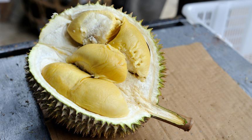 D&uuml;nyanın en k&ouml;t&uuml; kokulu meyvesi durian yolcu u&ccedil;ağını boşalttırdı!
