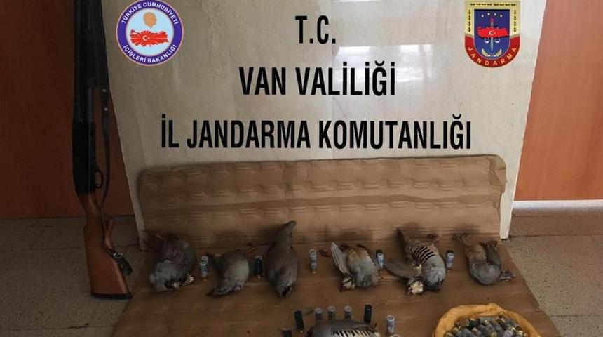 &Ccedil;atak&rsquo;ta ka&ccedil;ak avlanmış 7 keklik ele ge&ccedil;irildi