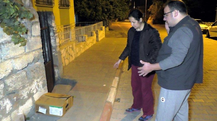 Yavru kedilerin imdadına y&uuml;r&uuml;y&uuml;ş yapan aile yetişti