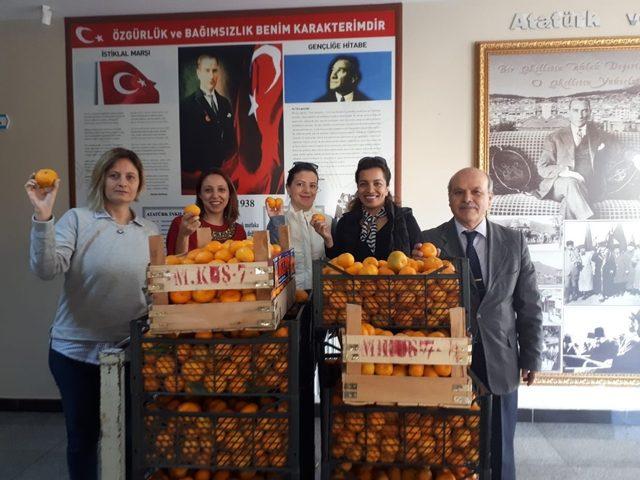 Okulda 260 kilogram mandalina dağıtıldı