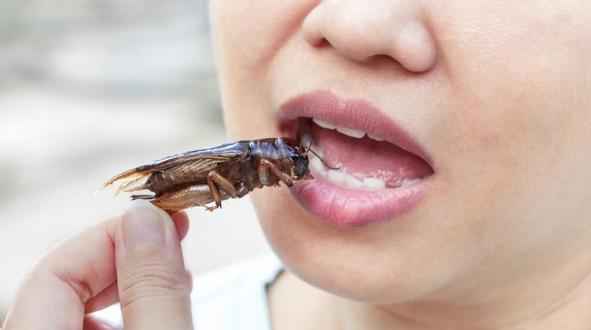 Çin'de çalışanlarını idrar içmeye zorlayan firma yöneticilerine hapis