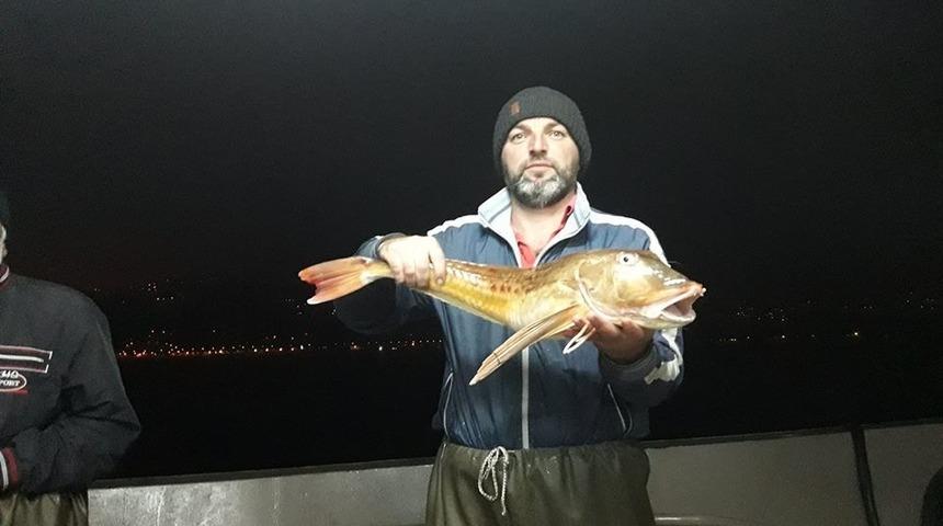 Ağlara uçar balığı takıldı