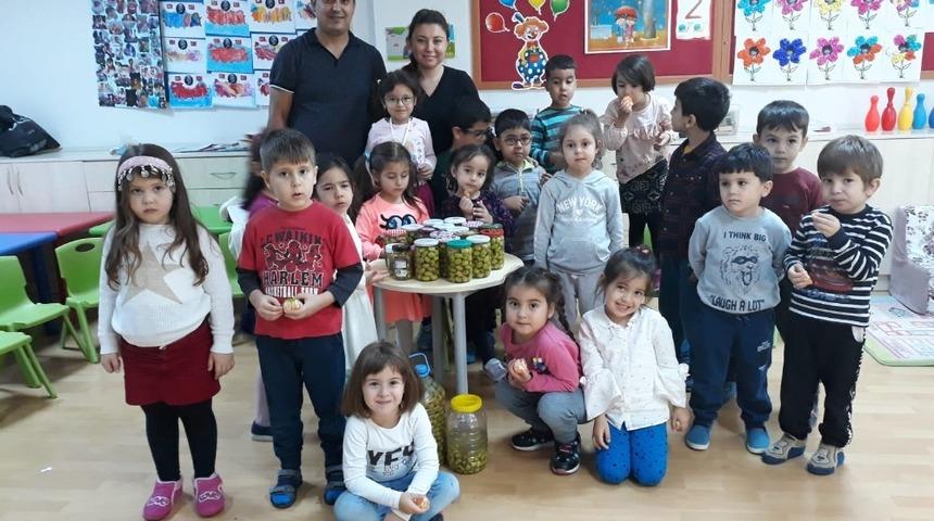 Minikler zeytini kırıp, &ccedil;ekişge yaptı