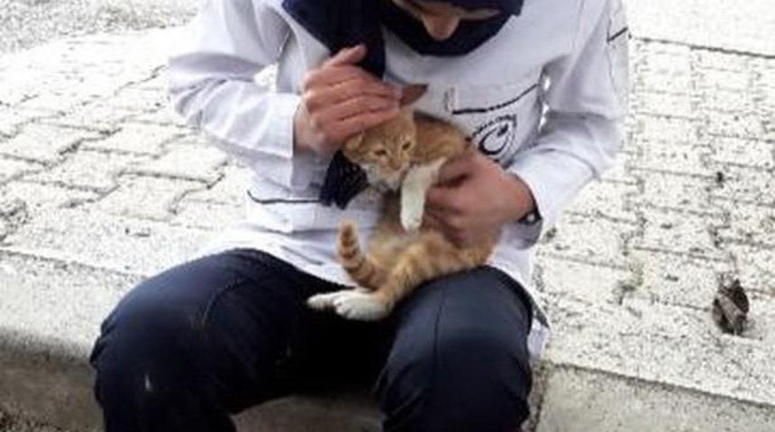 Kız &ouml;ğrenci ağaca tırmanıp mahsur kalan kediyi kurtardı