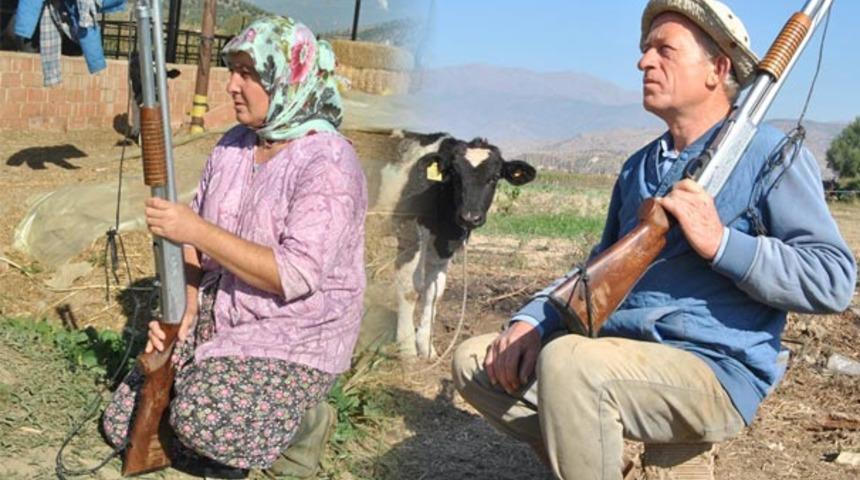 İzmir'de ahırdaki hayvanlarını korumak için gece gündüz nöbet tutuyorlar