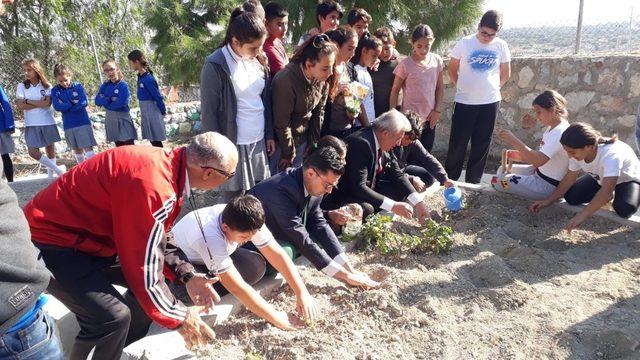 Çeşmeli öğrenciler bin 500 sebze fidanı dikti