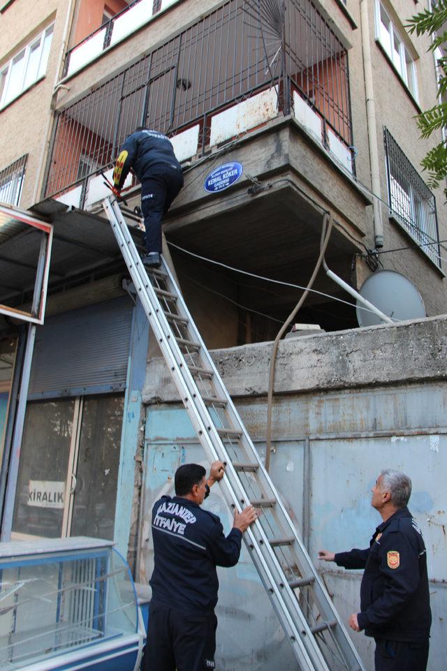 Evden gelen kötü koku paniğe neden oldu