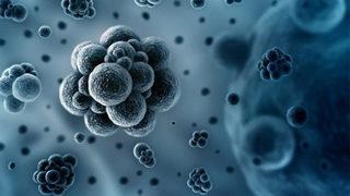 OECD açıkladı: 2,4 milyon insan ölebilir! En riskli ülke Türkiye!