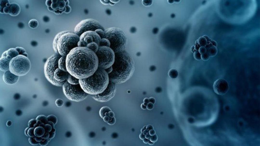 OECD a&ccedil;ıkladı: 2,4 milyon insan &ouml;lebilir! En riskli &uuml;lke T&uuml;rkiye!