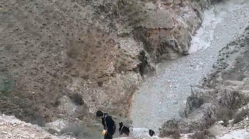 Mahsur kalan eşeği ekipler kurtardı