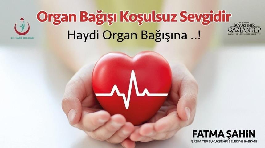 Organ bağışı &ccedil;ağrısı