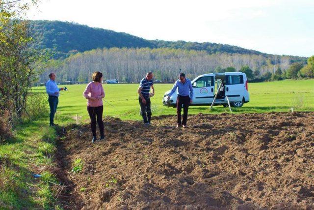 Kırklareli’nde yulaf çeşitlerine yönelik sonuç demonstrasyonları