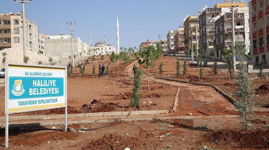 Haliliye&rsquo;ye 33 yeni park kazandırıldı