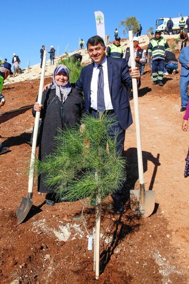 Şehitkamil’de 13 bin fidan daha dikilecek