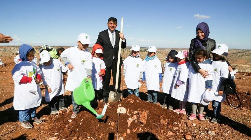 Şehitkamil&rsquo;de 13 bin fidan daha dikilecek