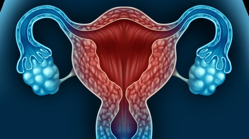  Vücudunuzda çok fazla östrajen olduğunu gösteren 8 işaret 