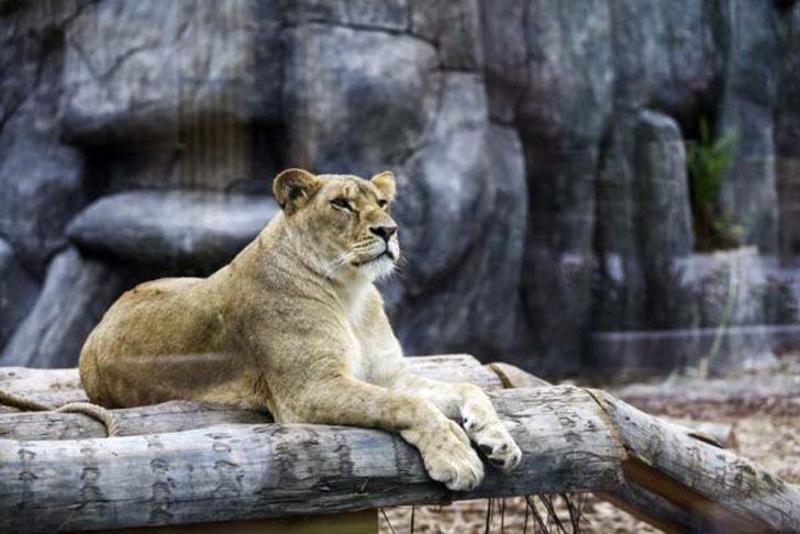 İstanbul’da nefesleri kesen park! G1