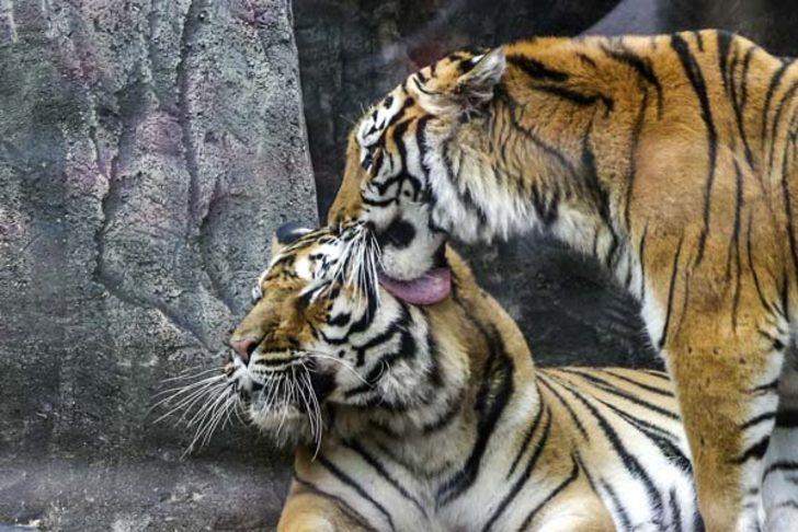 İstanbul’da nefesleri kesen park! G4