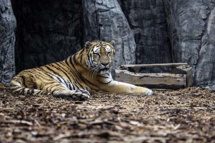 İstanbul’da nefesleri kesen park! G5