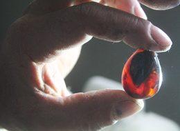 Bayburt’ta çıkan kehribara Çinliler talip oldu