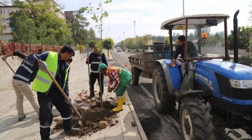 Siirt&rsquo;te ağa&ccedil; dikme &ccedil;alışması başlatıldı
