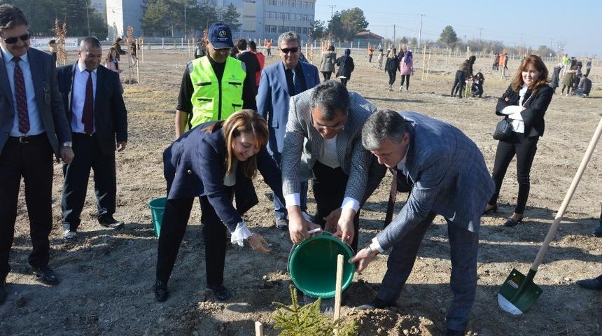 &Ccedil;ifteler&rsquo;de 800 fidan toprakla buluştu