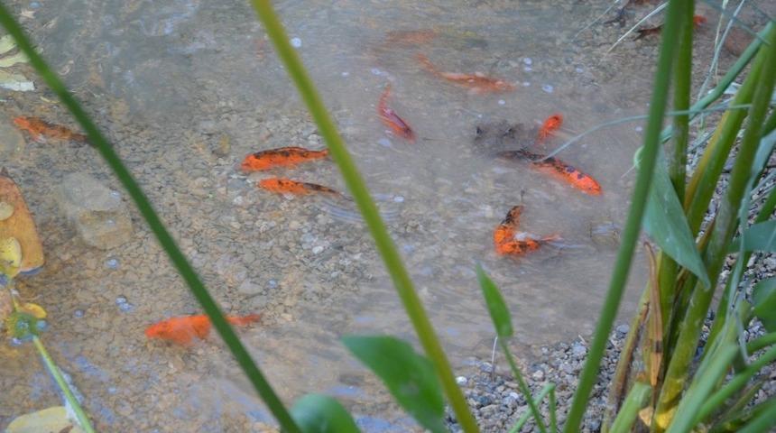 Sivrihisar&rsquo;da U&ccedil;apark G&ouml;leti oluşturuldu