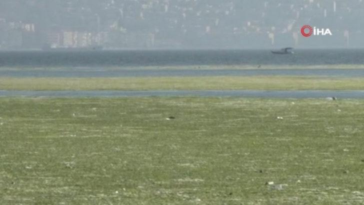 İzmir'de görülmüştü, korkunç gerçek! Deniz kıyısında yürüyenleri bekleyen tehlike G2