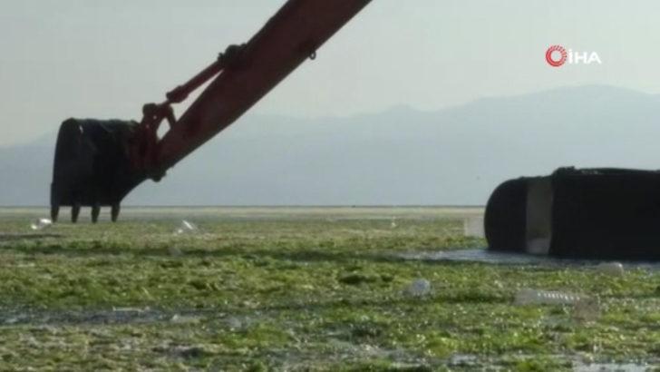 İzmir'de görülmüştü, korkunç gerçek! Deniz kıyısında yürüyenleri bekleyen tehlike G5