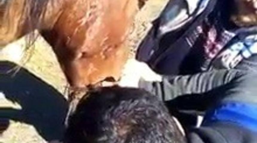 Yaralı ata Aras ekipleri m&uuml;dahale etti