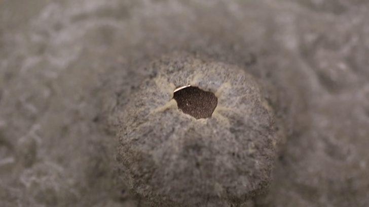 Demir Tozundan Manyetik Slime Yapımı