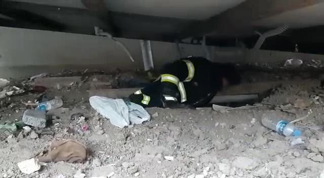Yavru köpek, konteynerin altından vinçle kurtarıldı