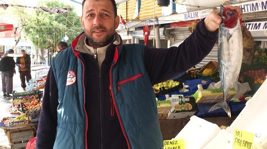 Palamut tahtını hamsiye devrediyor