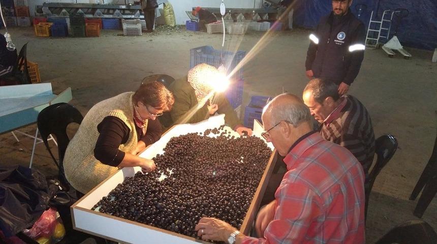 &Uuml;reticilerin imdadına kooperatif yetişiyor