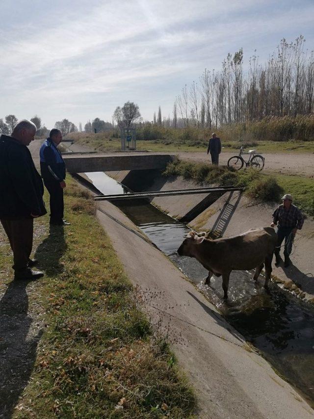 Çivril zabıtası hayat kurtardı