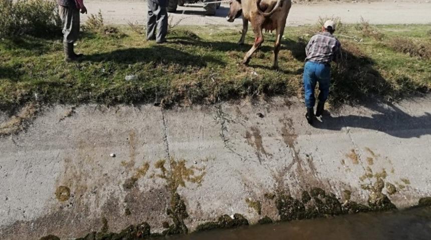 Çivril zabıtası hayat kurtardı