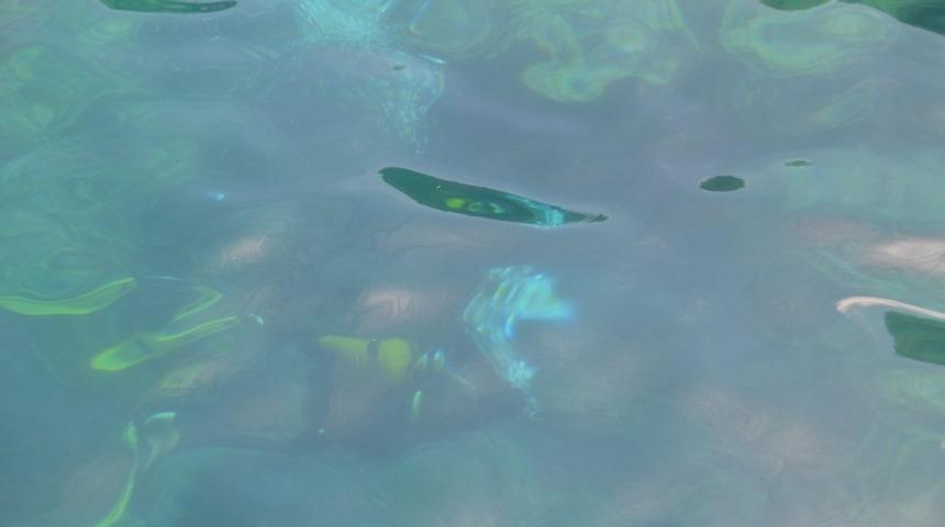 İT&Uuml; VE ACU Sualtı Topluluğu dalış i&ccedil;in Marmaris&rsquo;i tercih etti