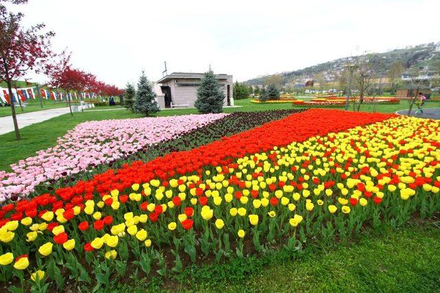 Kocaeli’nde lale satışları başlıyor