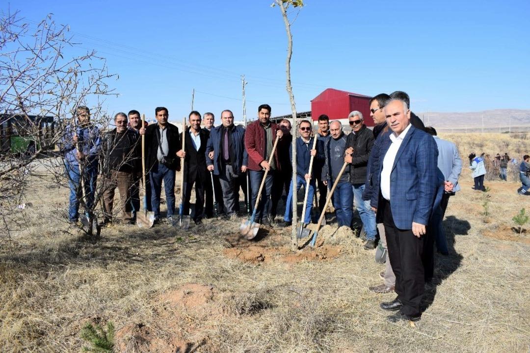 Hizmet-İş Hatıra Ormanı b&uuml;y&uuml;yor