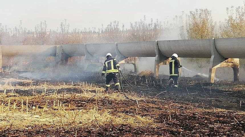 Anız yangını elma ağa&ccedil;larına sı&ccedil;ramadan s&ouml;nd&uuml;r&uuml;ld&uuml;