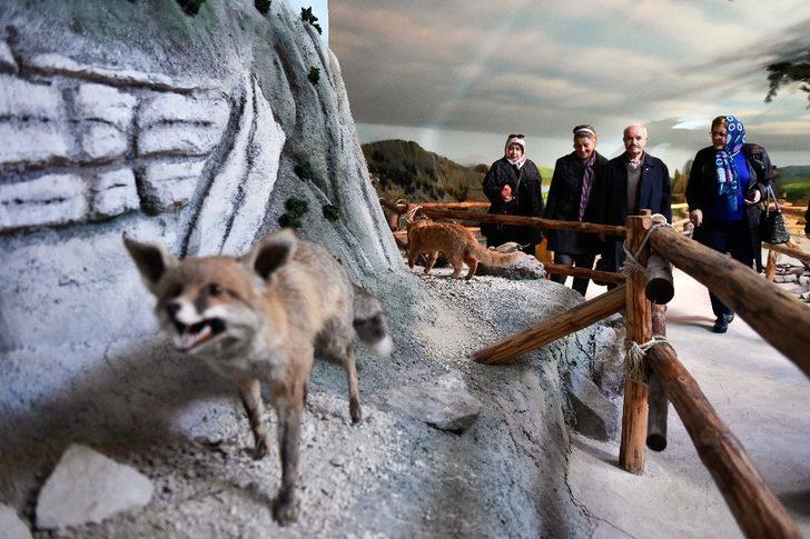 Başkent gezileri kışın da sürüyor G4