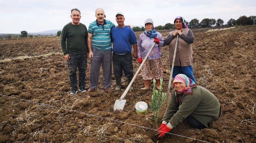 G&ouml;nen&rsquo;de zeytinler dikiliyor, y&uuml;zler g&uuml;l&uuml;yor