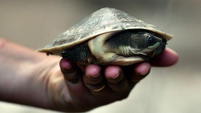 Çocuklar bu habere çok sevinecek