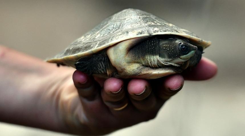 &Ccedil;ocuklar bu habere &ccedil;ok sevinecek