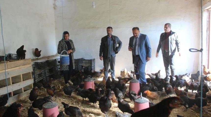 Iğdır&rsquo;da kanatlı işletme sayısı artıyor