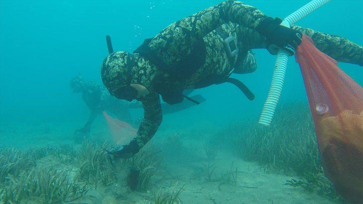 Bodrum'da dalgıçlar denizden küvet çıkardı G2