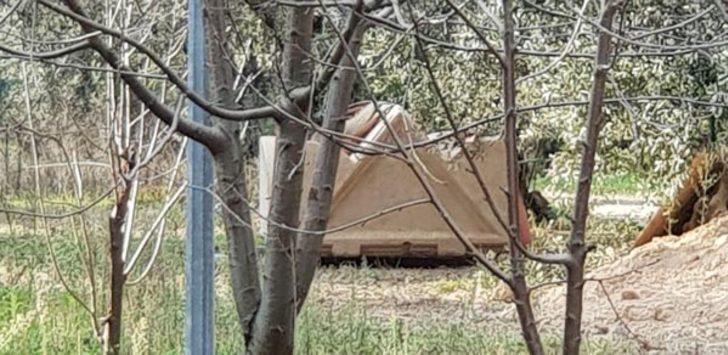 İçinden mumyalanmış ceset çıkan lahit traktörle taşındı G1