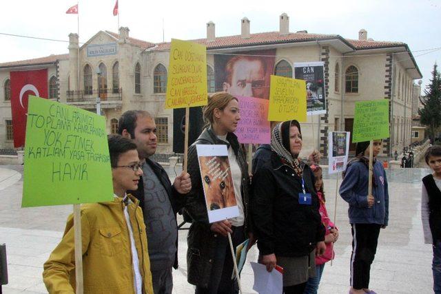 Kilis’te 9 kişilik gruptan hayvanlara işkence protestosu