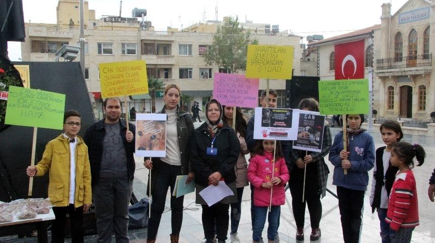 Kilis&rsquo;te 9 kişilik gruptan hayvanlara işkence protestosu